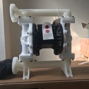 bom-mang-husky-649034