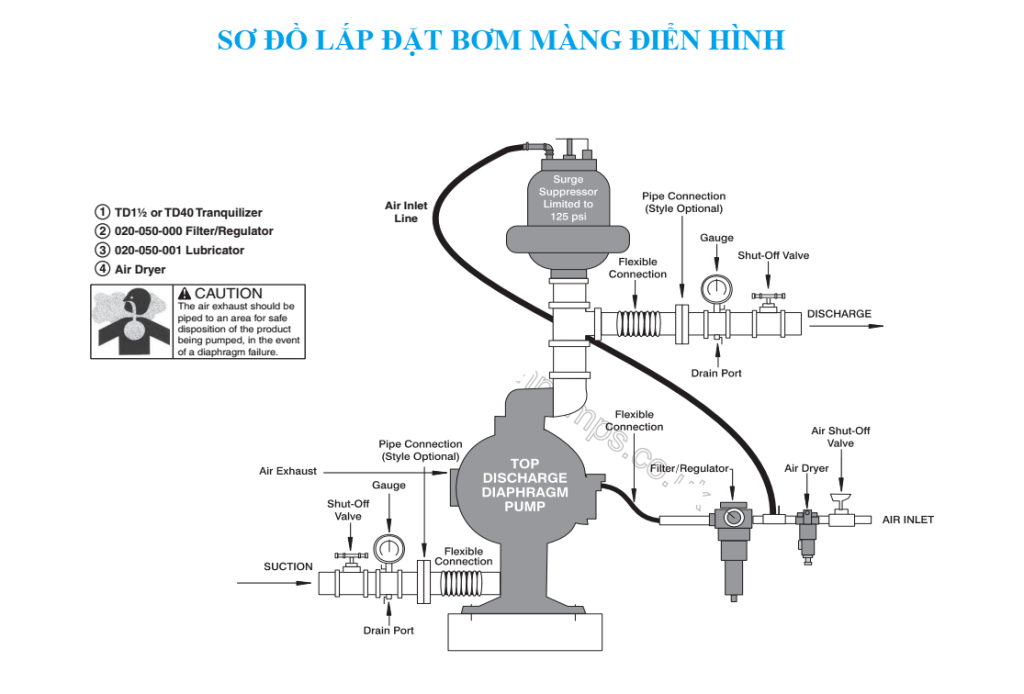 LAP DAT BOM MANG CO BAN